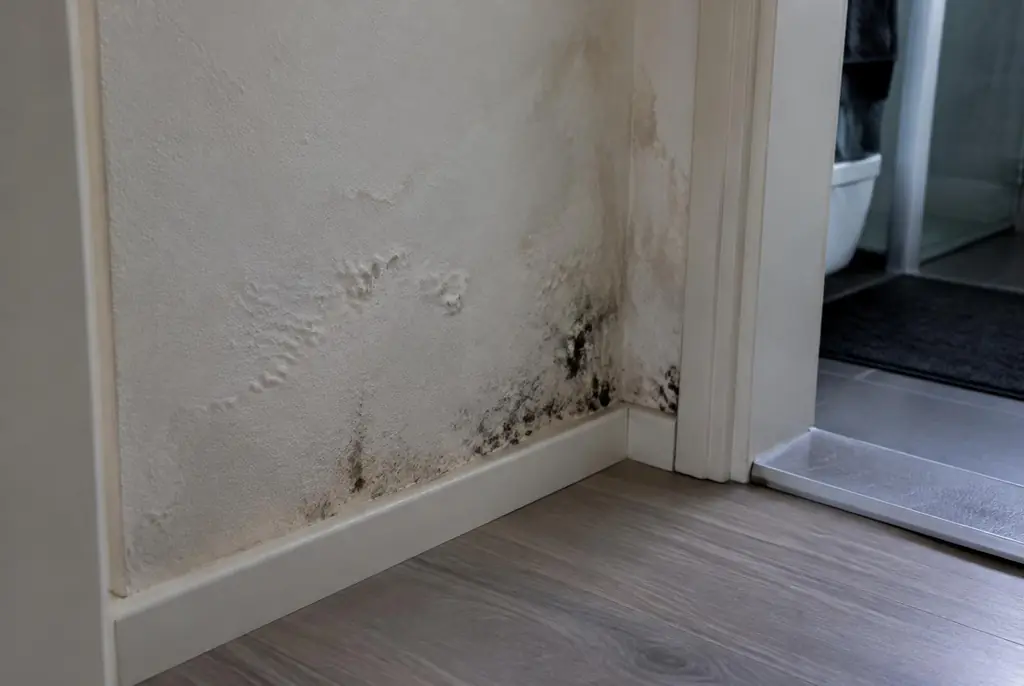 Lekdetectie Zevenaar – vochtplek met schimmel op een muur